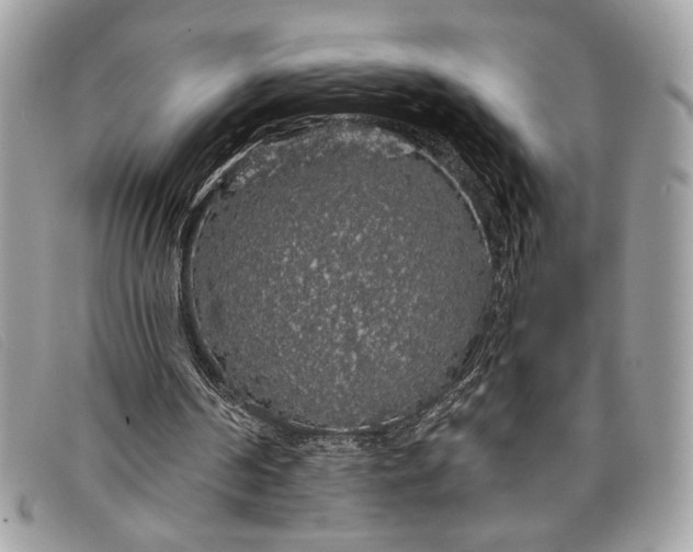 X0000098010194200804111241