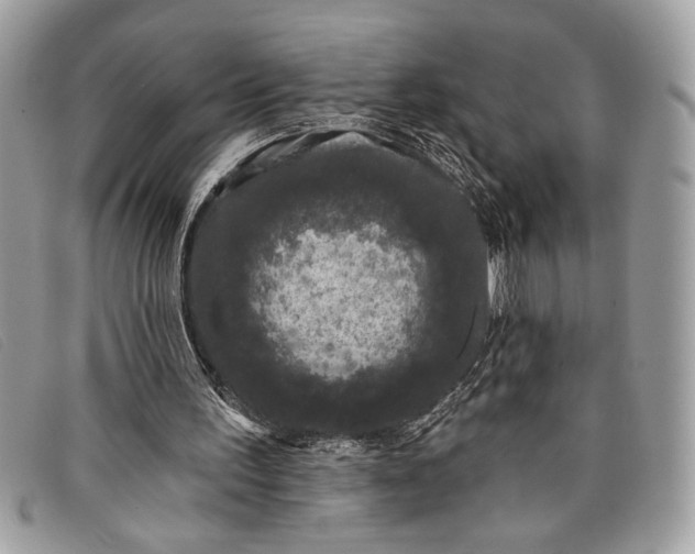 X0000098010195200804111241