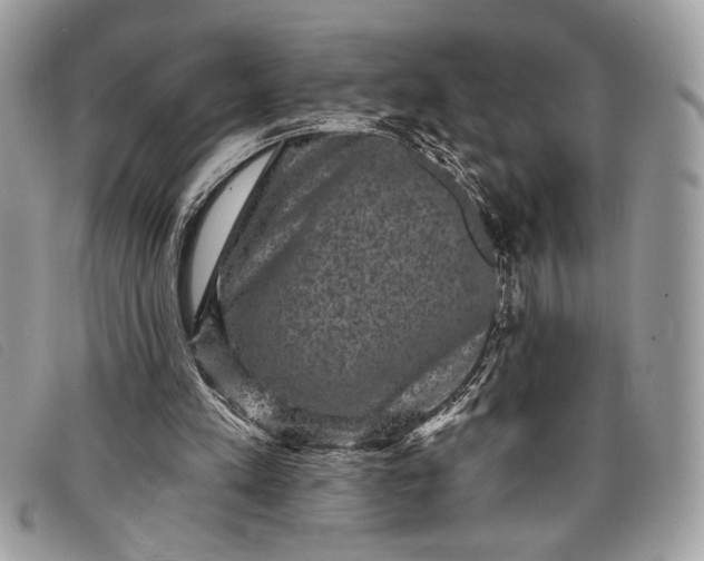 X0000098010197200804111241