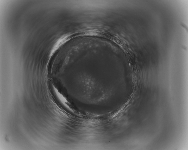 X0000098010198200804111241