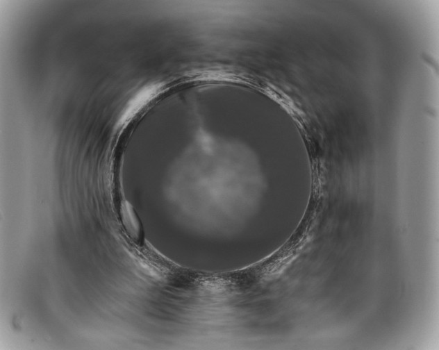 X0000098010199200804111241