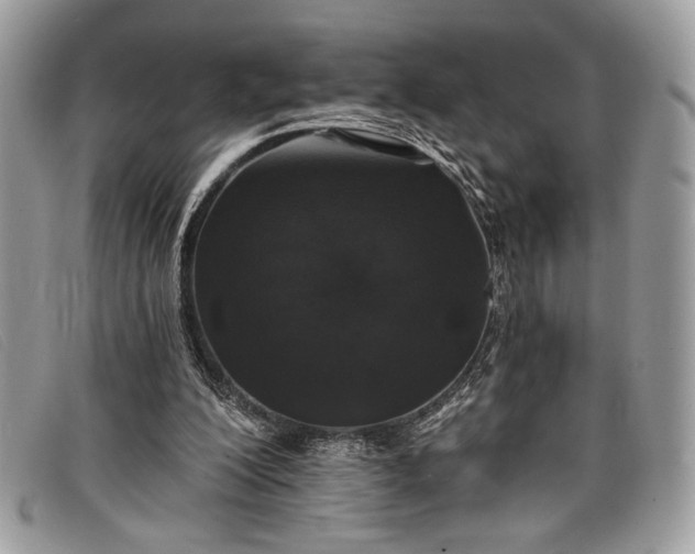 X0000098010200200804111241