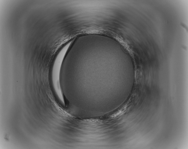 X0000098010201200804111241