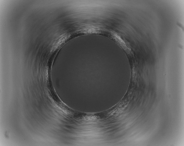 X0000098010202200804111241