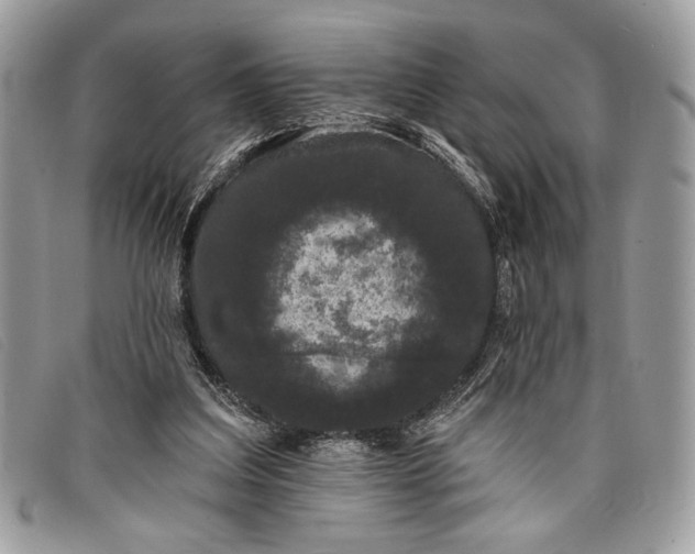 X0000098010203200804111241