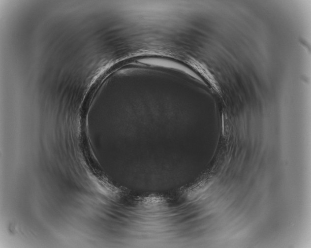 X0000098010204200804111241