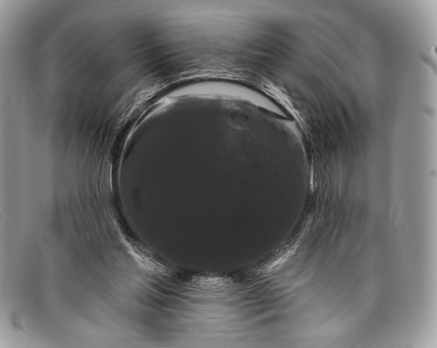 X0000098010205200804111241