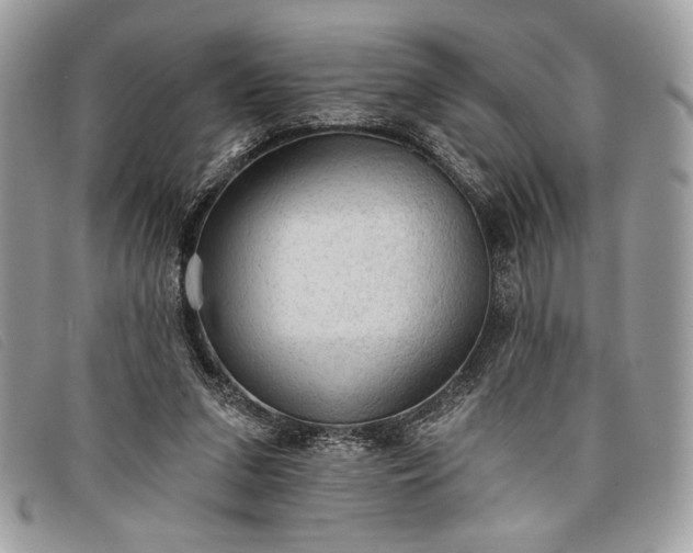 X0000098010207200804111241