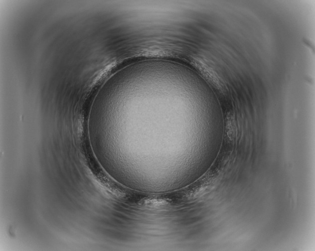 X0000098010208200804111241