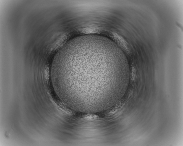 X0000098010210200804111241