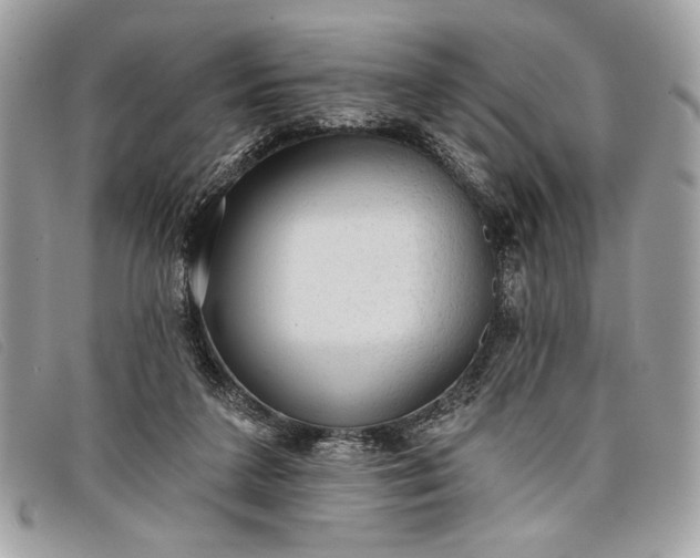 X0000098010211200804111241