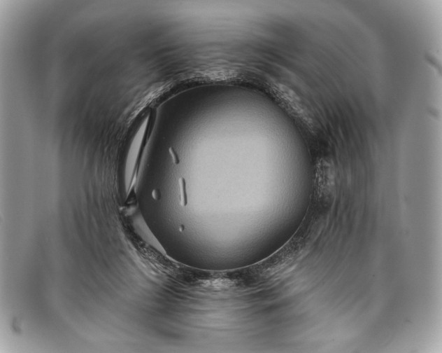 X0000098010212200804111241