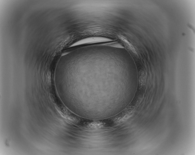 X0000098010213200804111241