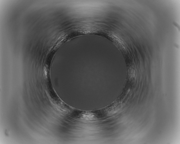 X0000098010214200804111241