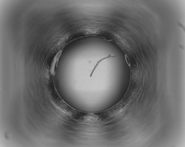 X0000098010215200804111241