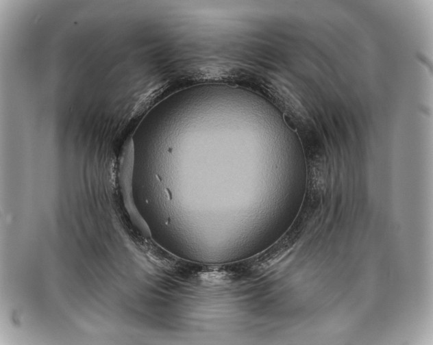 X0000098010216200804111241