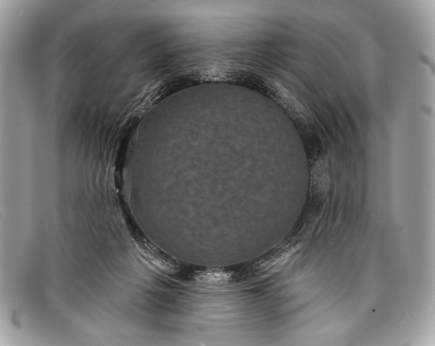 X0000098010217200804111241