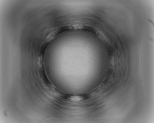 X0000098010218200804111241