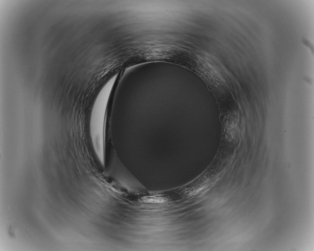 X0000098010219200804111241