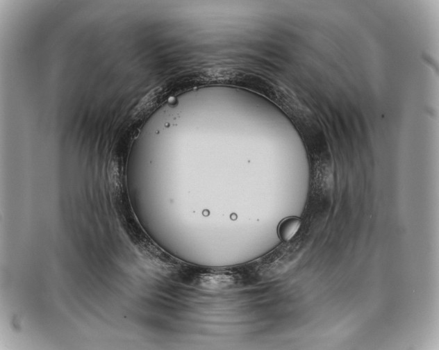 X0000098010220200804111241