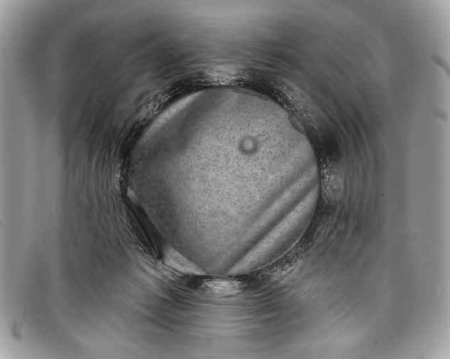 X0000098010221200804111241