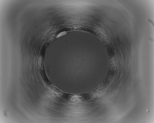 X0000098010222200804111241