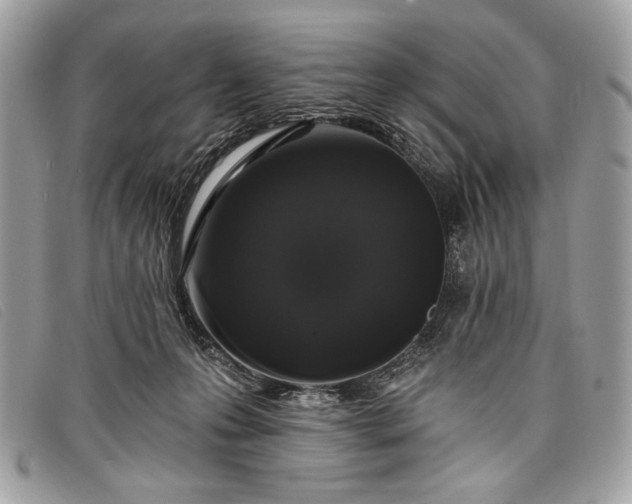 X0000098010223200804111241