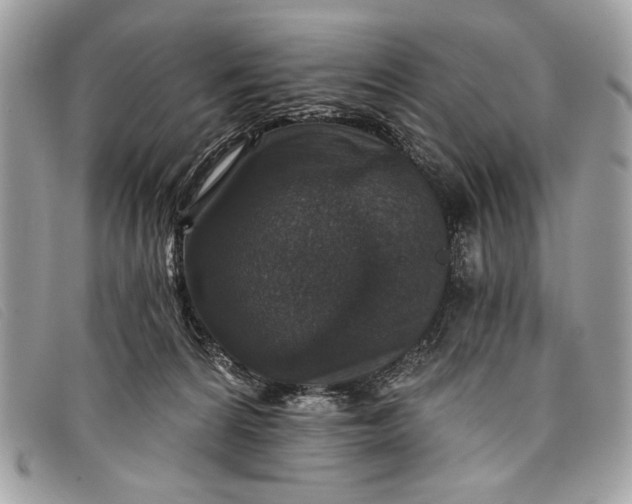 X0000098010224200804111241