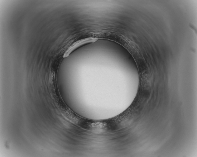 X0000098010225200804111240