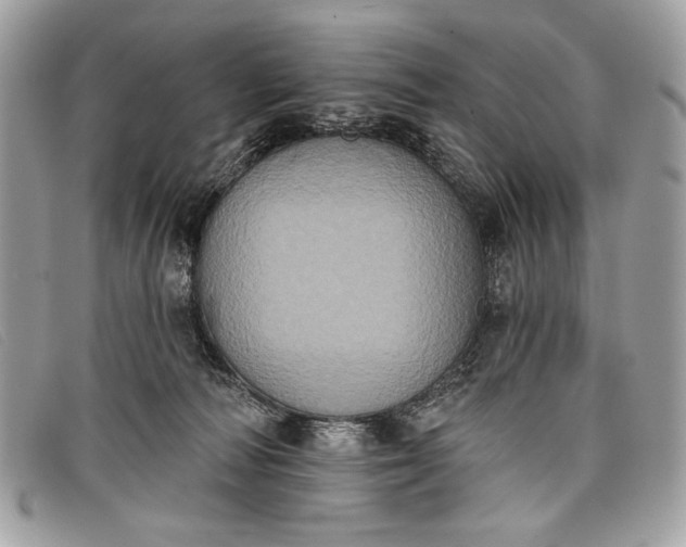 X0000098010226200804111240