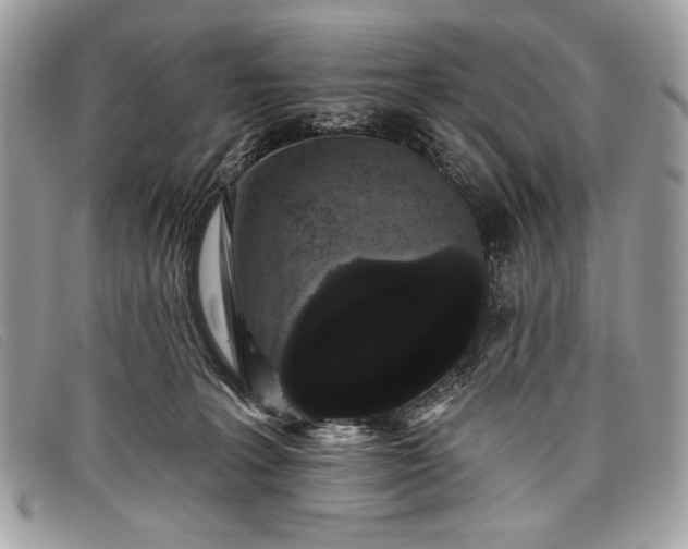 X0000098010227200804111240