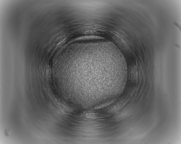 X0000098010228200804111240