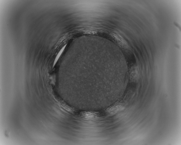 X0000098010229200804111240