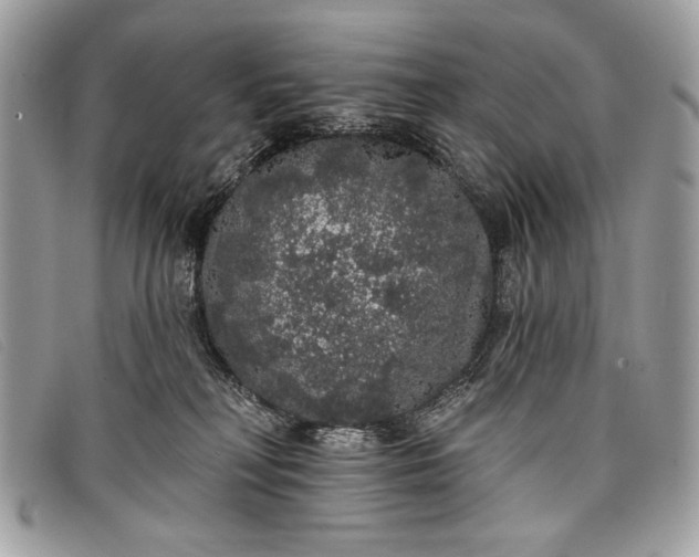 X0000098010230200804111240