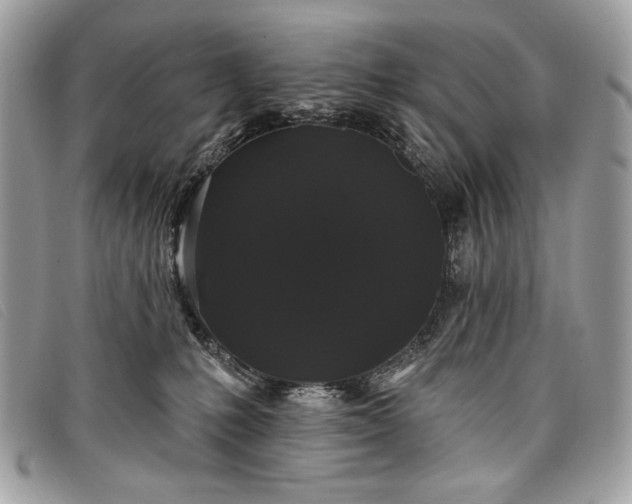 X0000098010231200804111240