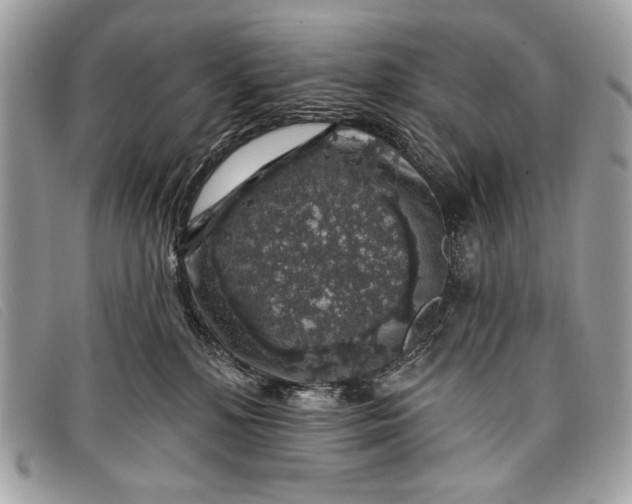 X0000098010232200804111240