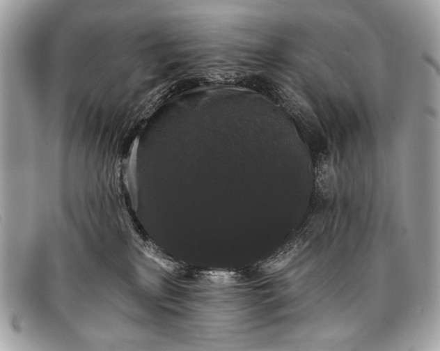 X0000098010233200804111240