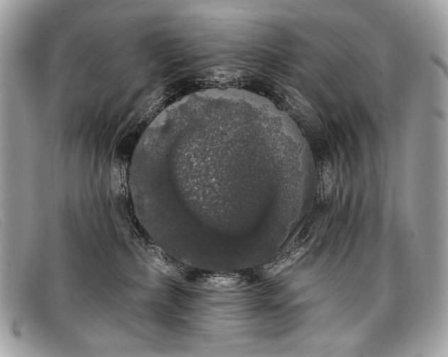 X0000098010236200804111240