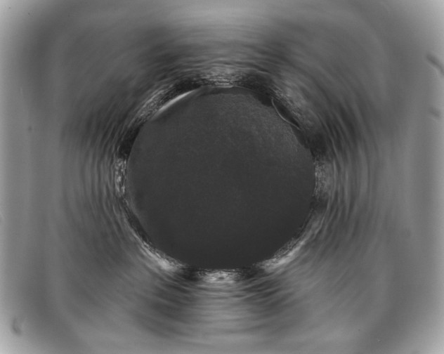 X0000098010237200804111240