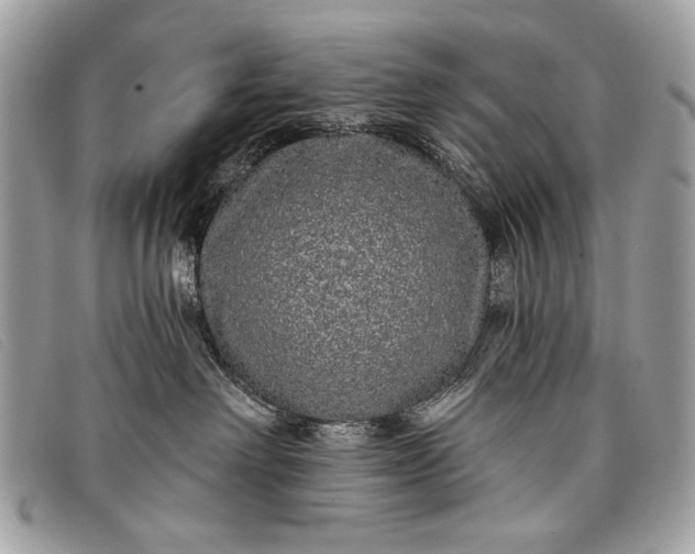 X0000098010238200804111240