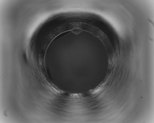 X0000098010239200804111240