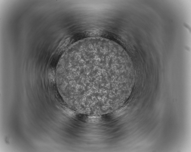 X0000098010240200804111240