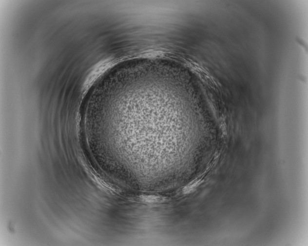 X0000098010242200804111239