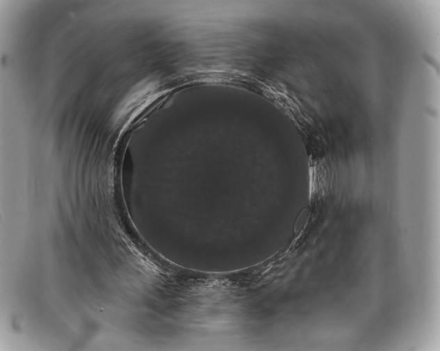 X0000098010243200804111239