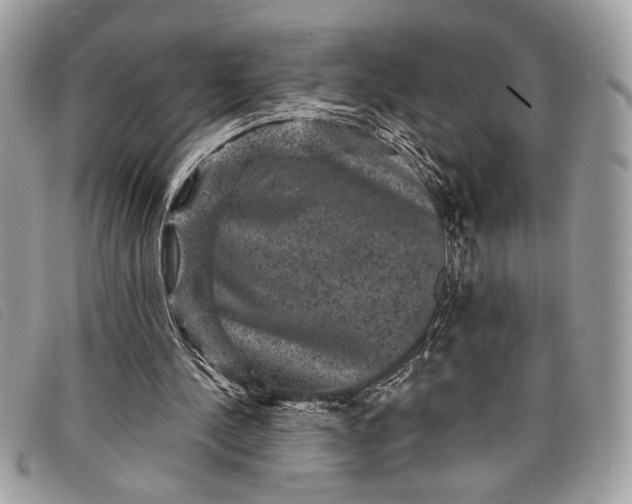 X0000098010244200804111239