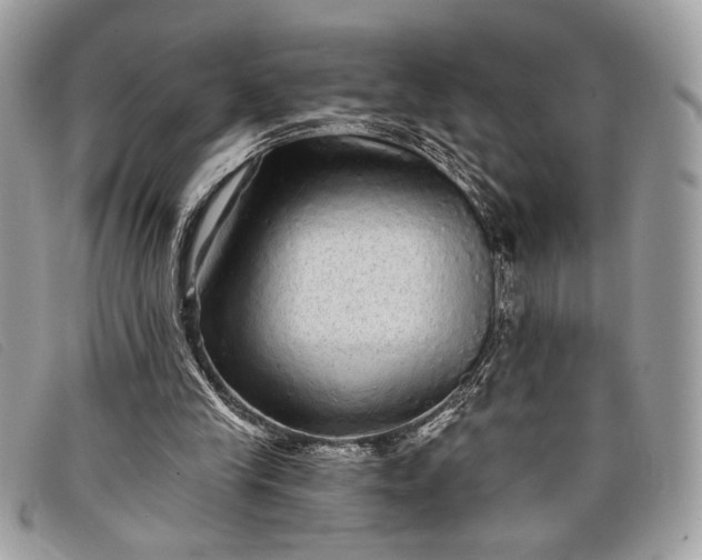 X0000098010245200804111239