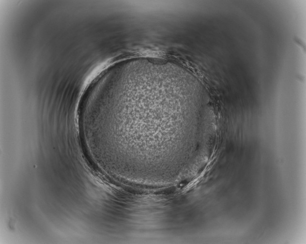 X0000098010246200804111240