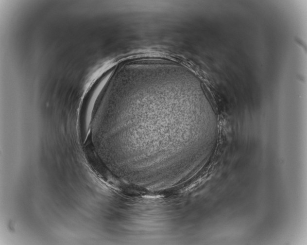 X0000098010248200804111240