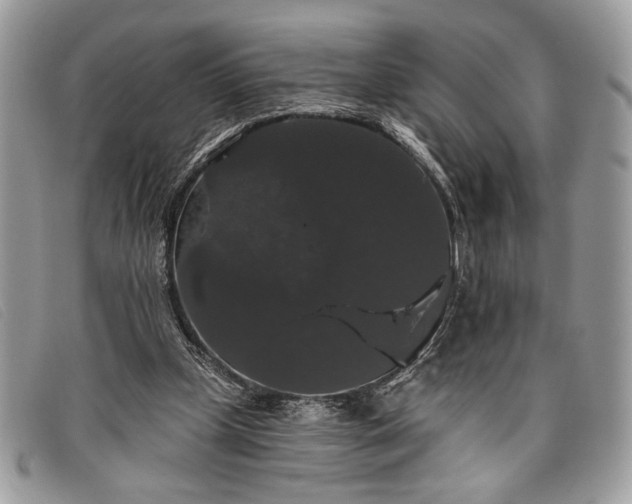 X0000098010249200804111240