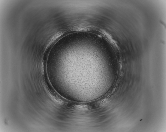 X0000098010250200804111240